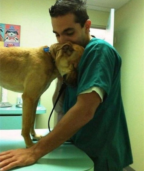 수술을 해준 의사에게 감사의 표시를 하는 강아지