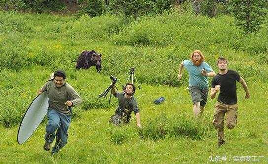 곰에게 쫓기고 있는 사진작가들