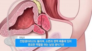 ▲ 이미지 출처 - 유튜브