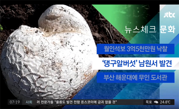 JTBC 보도화면 캡쳐