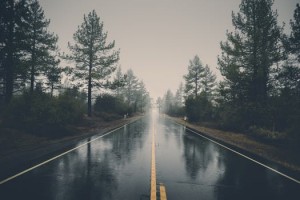 출처 - pexels