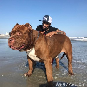출처 - baidu