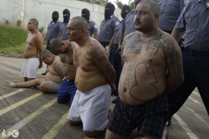 MS-13 조직원 체포