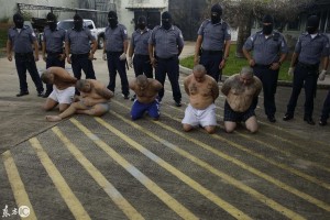 MS-13 조직원 체포